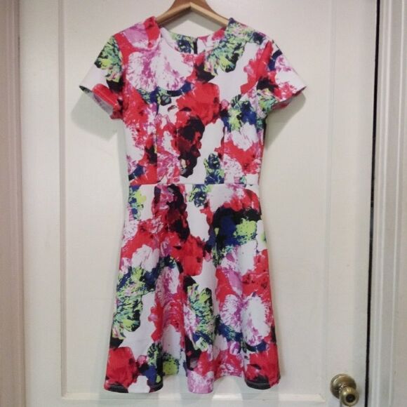 MILLY for DesigNation Floral Scuba Dress - Picture 4 of 8